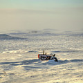 Cold And Lonely