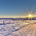 Snow Road