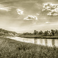 The River 2