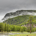 Yellowstone 2021 #6