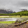 Yellowstone 2021 #7
