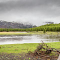 Yellowstone 2021 #8